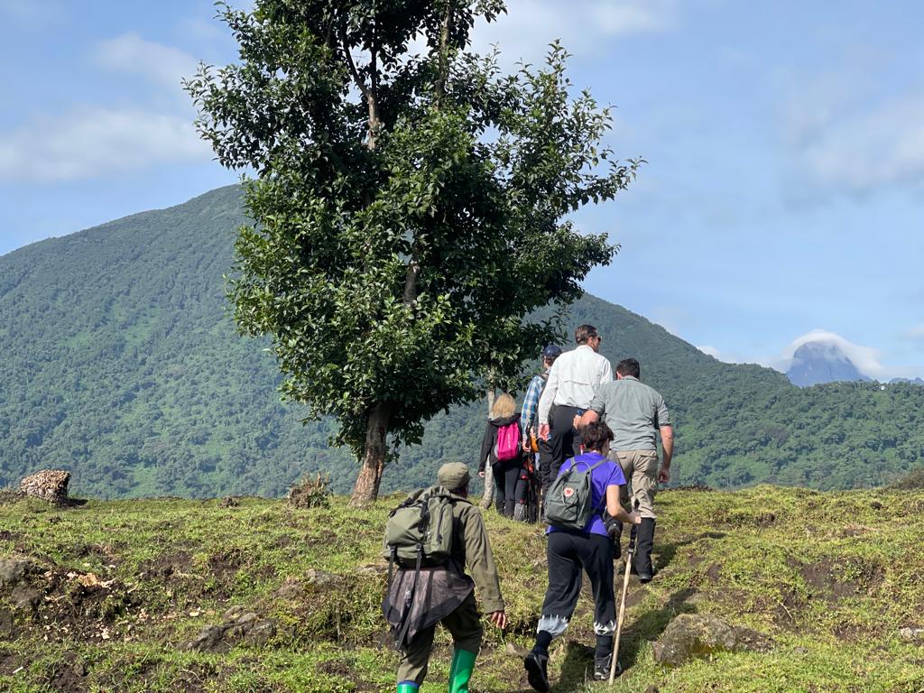 Gallery image for Travel That Feels Real: Discovering the Virunga Region Responsibly